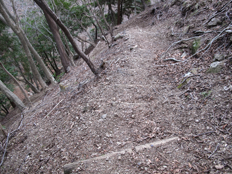 20170113hike (389)
